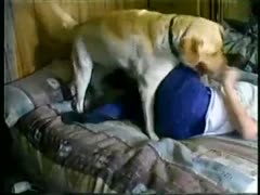 A very timid adolescent of legal age gets aroused during blow job sex with a dog and ends up fucking a brute.